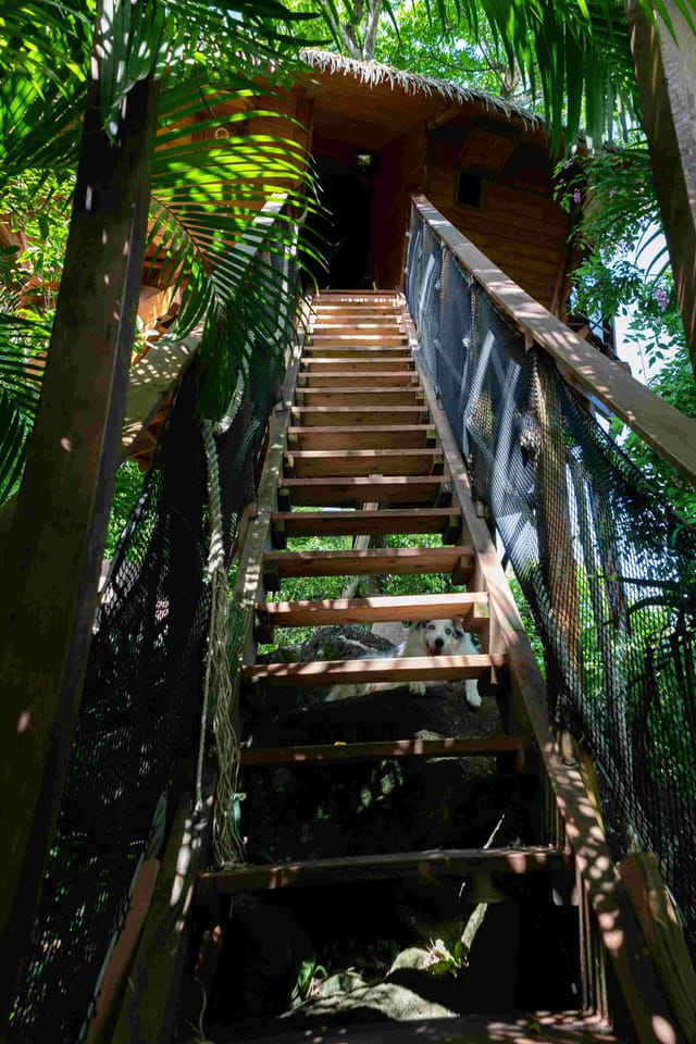 Cabane Pirates — photo 4