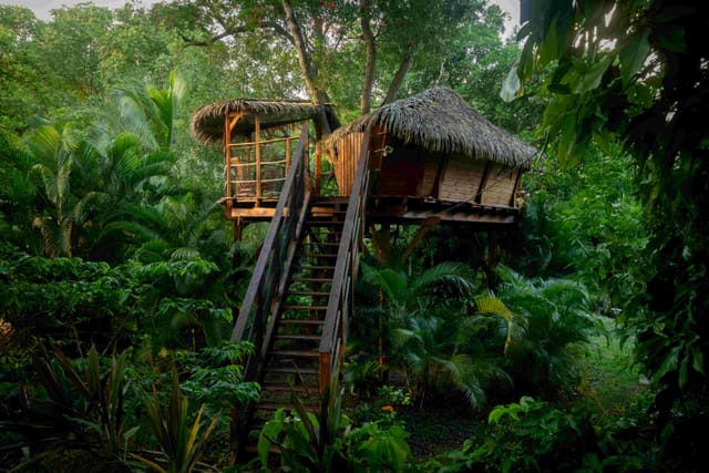 Cabane Zoé — photo 4