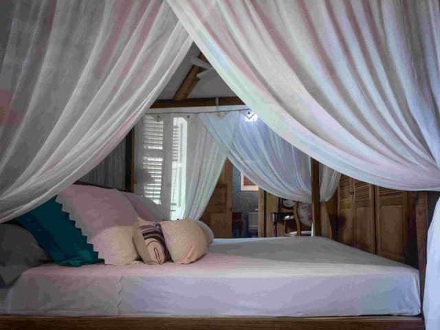 Chambre Couleur Café — photo 3