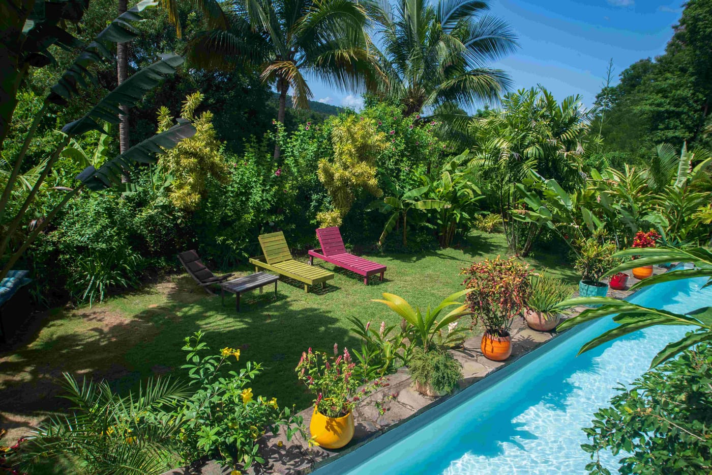 Piscine entourée d'un jardin tropical luxuriant, avec vue sur les montagnes de Basse-Terre