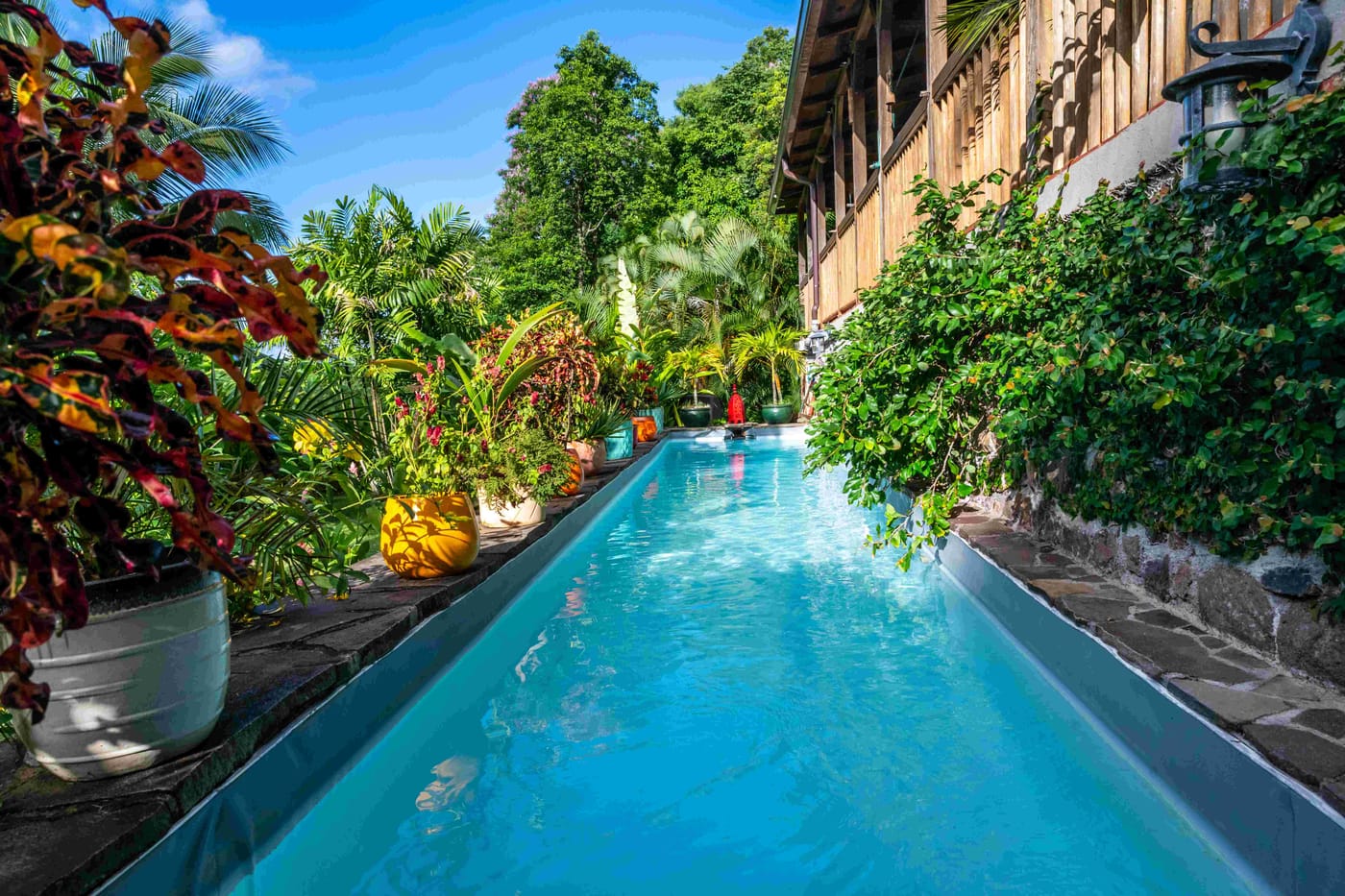 La piscine du domaine au milieu de la végétation